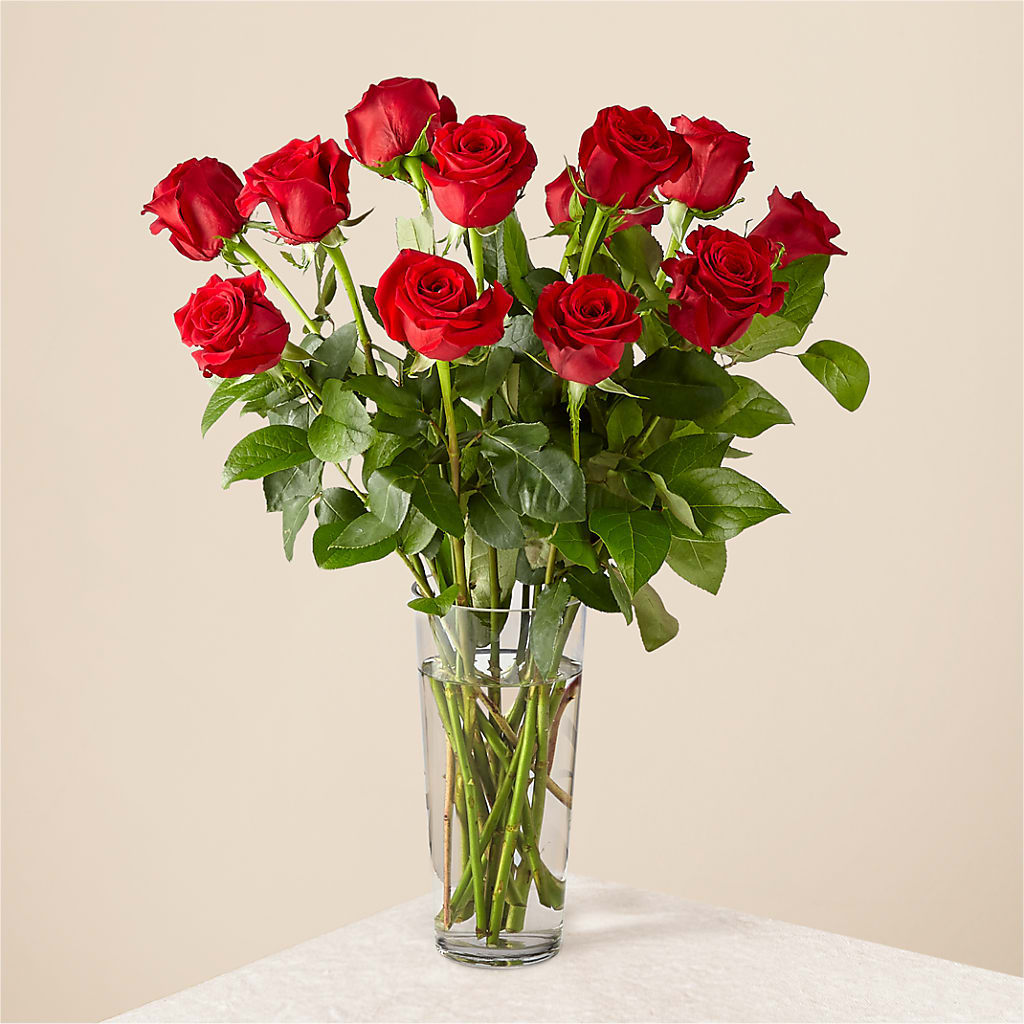 Long Stem Red Rose Bouquet – VINE & IVY FLOWERS, Suffield CT