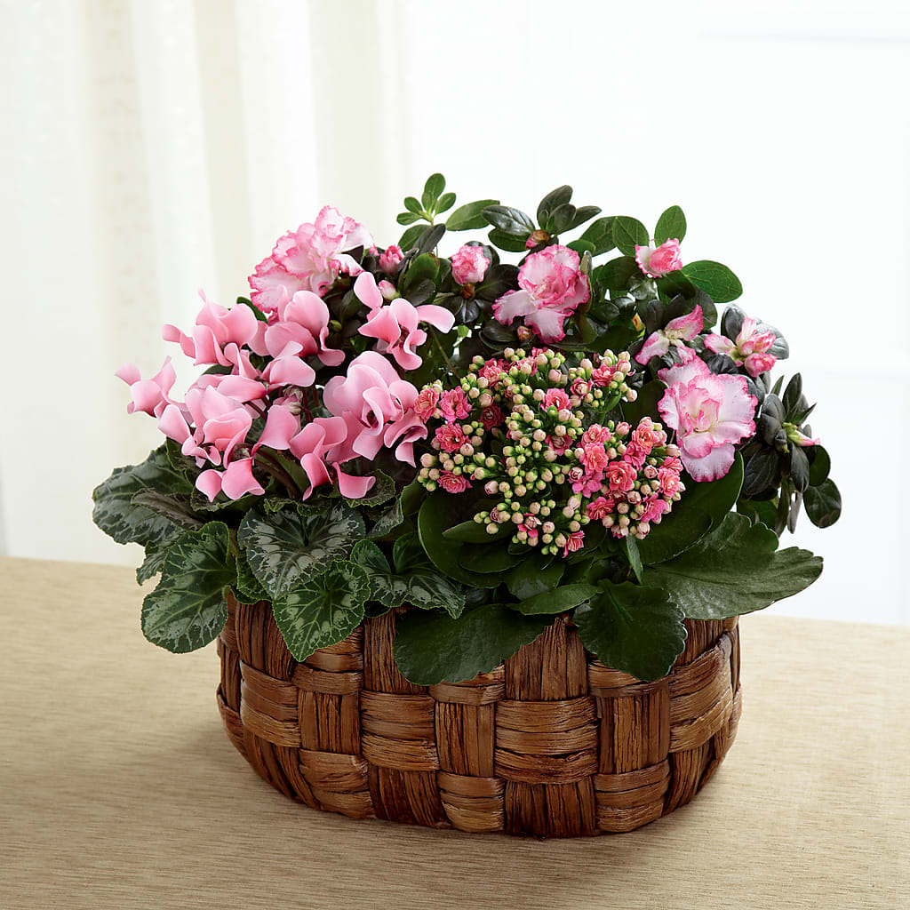 Pink Assortment – VINE & IVY FLOWERS, Suffield CT