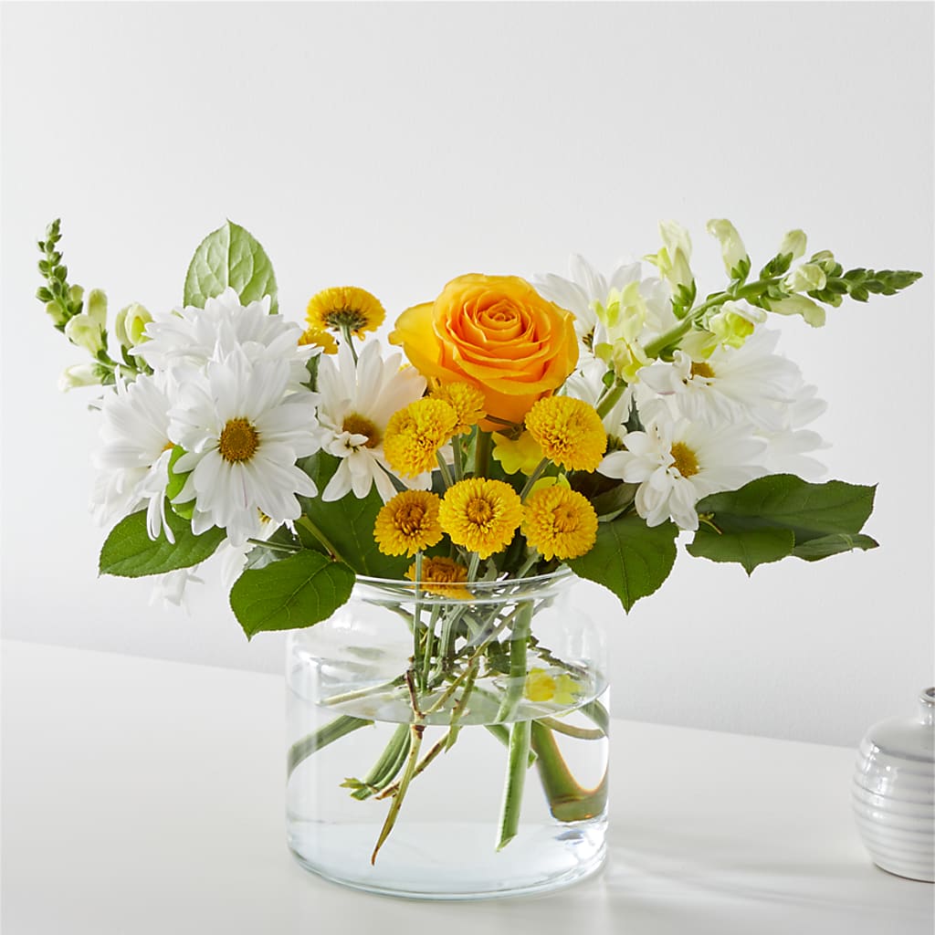 Sun Salutation Bouquet – VINE & IVY FLOWERS, Suffield CT