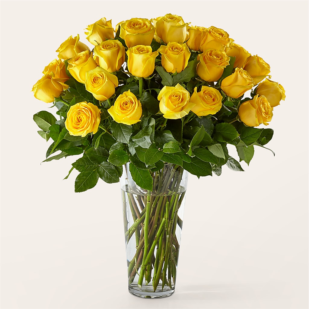 Long Stem Yellow Rose Bouquet – VINE & IVY FLOWERS, Suffield CT