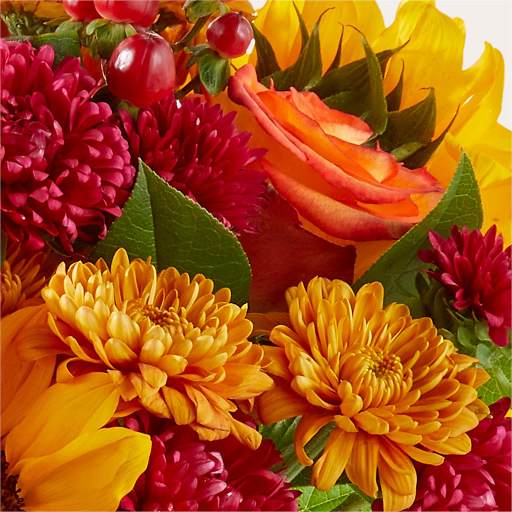 Sweater Season - A Florist Original – VINE & IVY FLOWERS, Suffield CT
