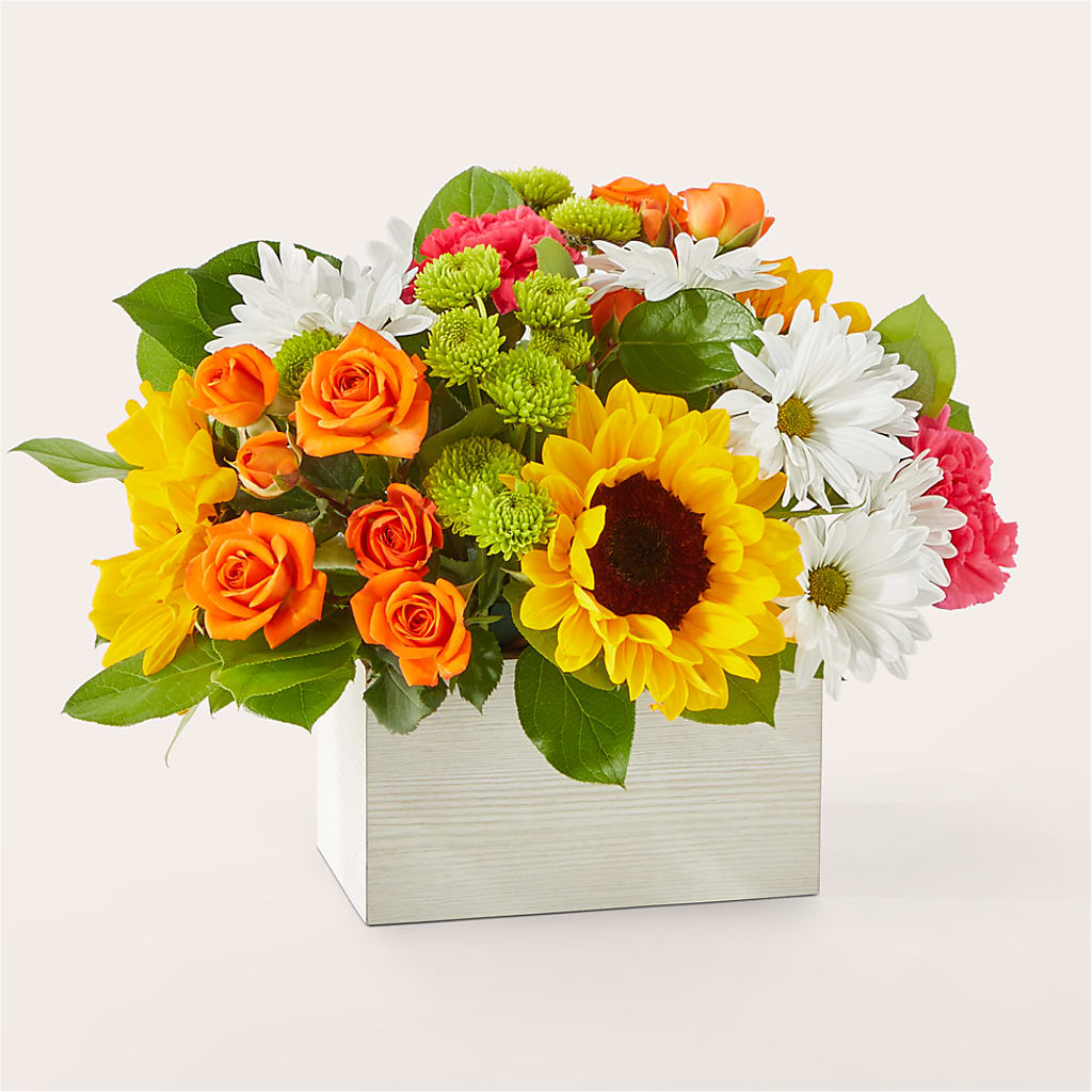 Sun-drenched Blooms Box Bouquet – VINE & IVY FLOWERS, Suffield CT