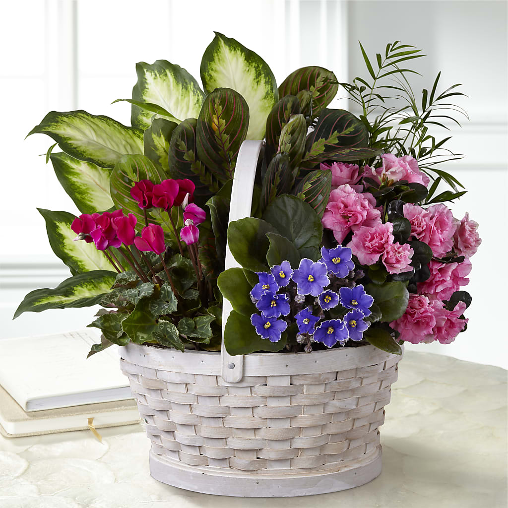 Peaceful Garden Planter – VINE & IVY FLOWERS, Suffield CT