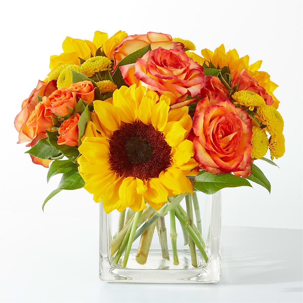 Picnic in the Park Bouquet – VINE & IVY FLOWERS, Suffield CT
