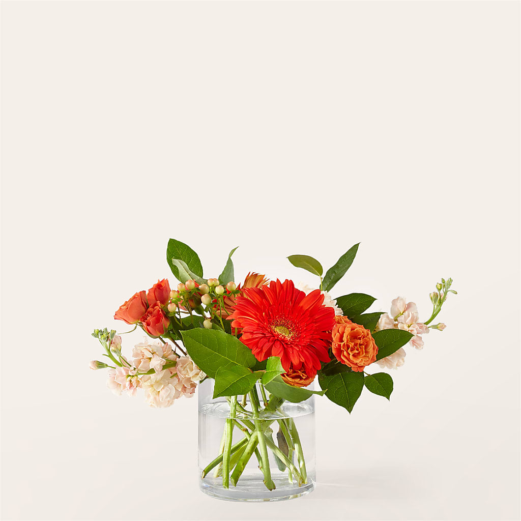Paloma Please Bouquet – VINE & IVY FLOWERS, Suffield CT