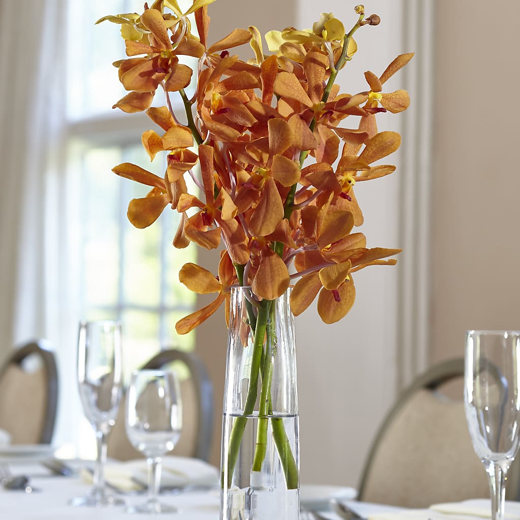 Orange Mokara Bud Vase – VINE & IVY FLOWERS, Suffield CT