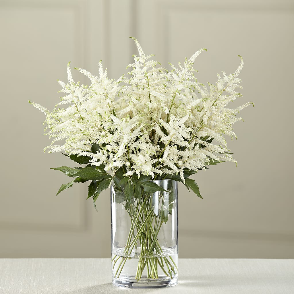 White Astilbe Bouquet – VINE & IVY FLOWERS, Suffield CT