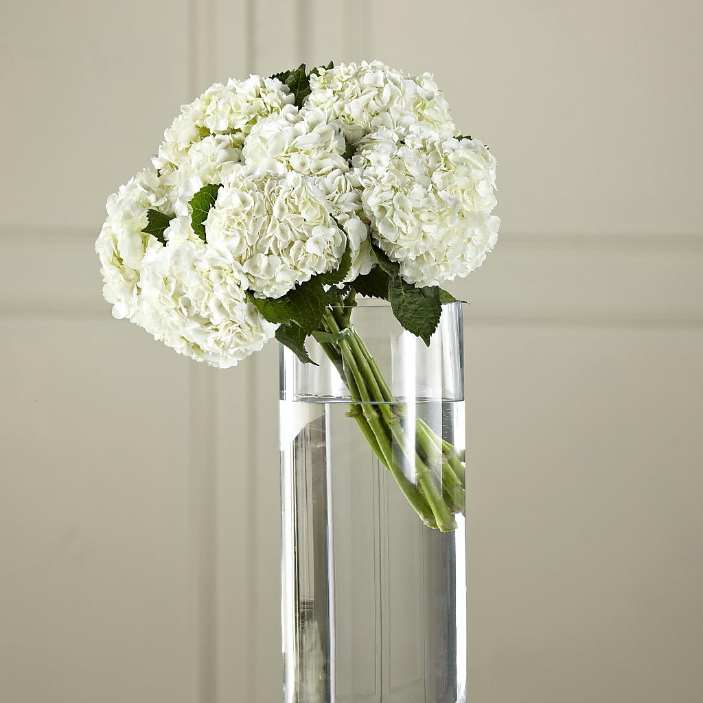 White Hydrangea Hand-Tied Bouquet – VINE & IVY FLOWERS, Suffield CT