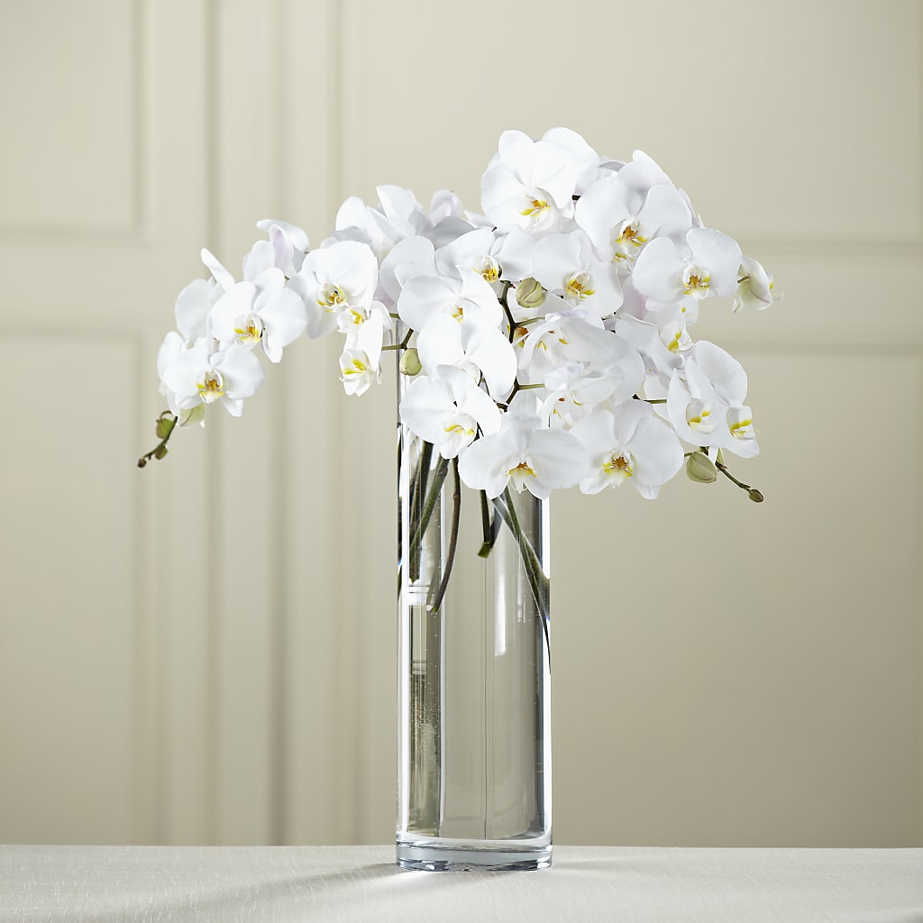 White Phalaenopsis Bouquet – VINE & IVY FLOWERS, Suffield CT