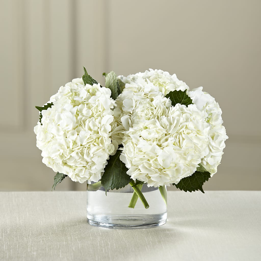 White Hydrangea Bouquet – VINE & IVY FLOWERS, Suffield CT