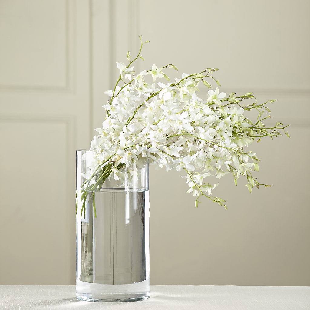 White Dendrobium Bouquet – VINE & IVY FLOWERS, Suffield CT