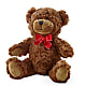 Adorable Plush Bear – VINE & IVY FLOWERS, Suffield CT
