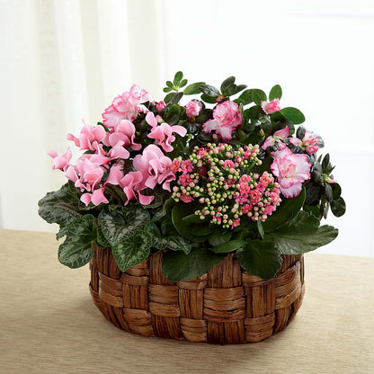 Pink Assortment – VINE & IVY FLOWERS, Suffield CT