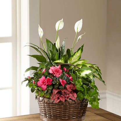 Dream in Pink Dishgarden – VINE & IVY FLOWERS, Suffield CT
