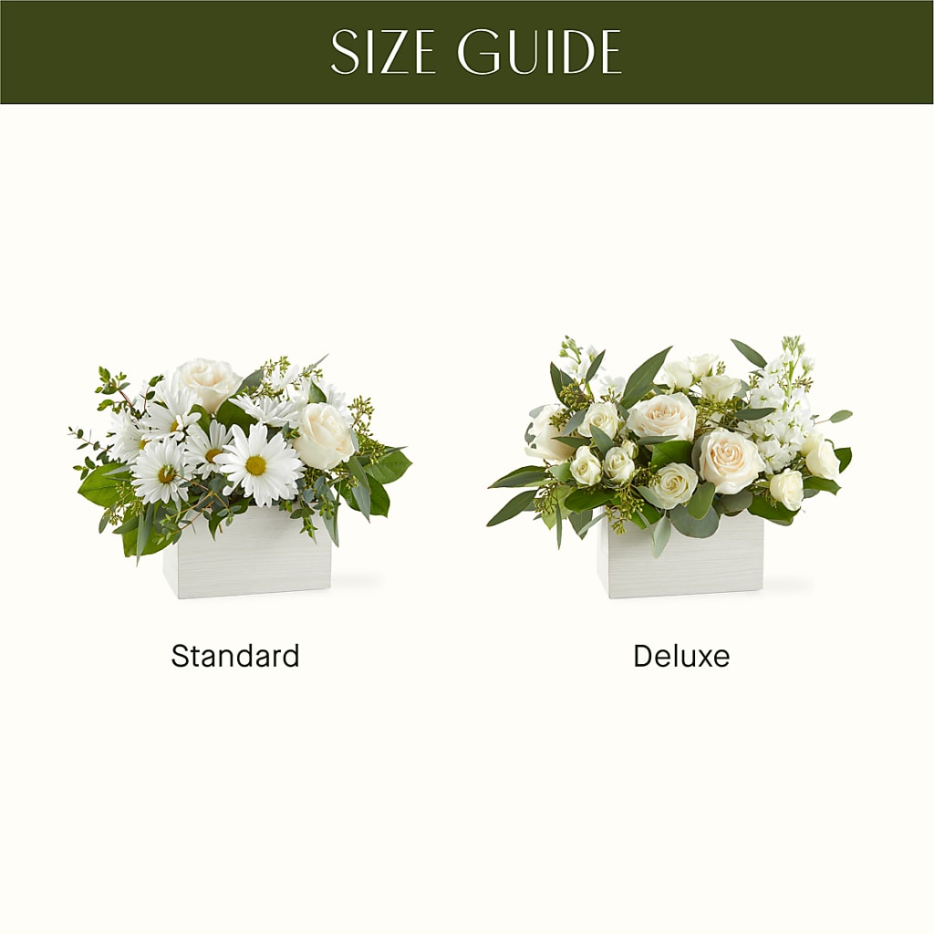 Fresh Linen Box Bouquet – VINE & IVY FLOWERS, Suffield CT