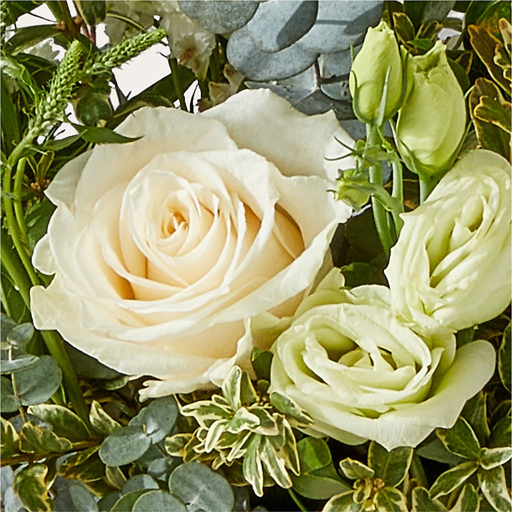 Cashmere Bouquet – VINE & IVY FLOWERS, Suffield CT