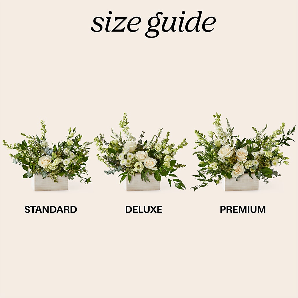 Cashmere Bouquet – VINE & IVY FLOWERS, Suffield CT