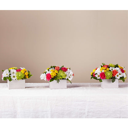 Sorbet Bouquet – VINE & IVY FLOWERS, Suffield CT
