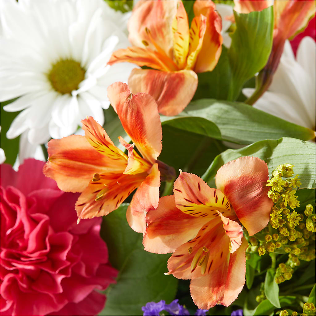 Oopsie Daisy Box Bouquet – VINE & IVY FLOWERS, Suffield CT