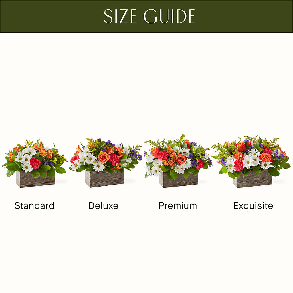 Oopsie Daisy Box Bouquet – VINE & IVY FLOWERS, Suffield CT