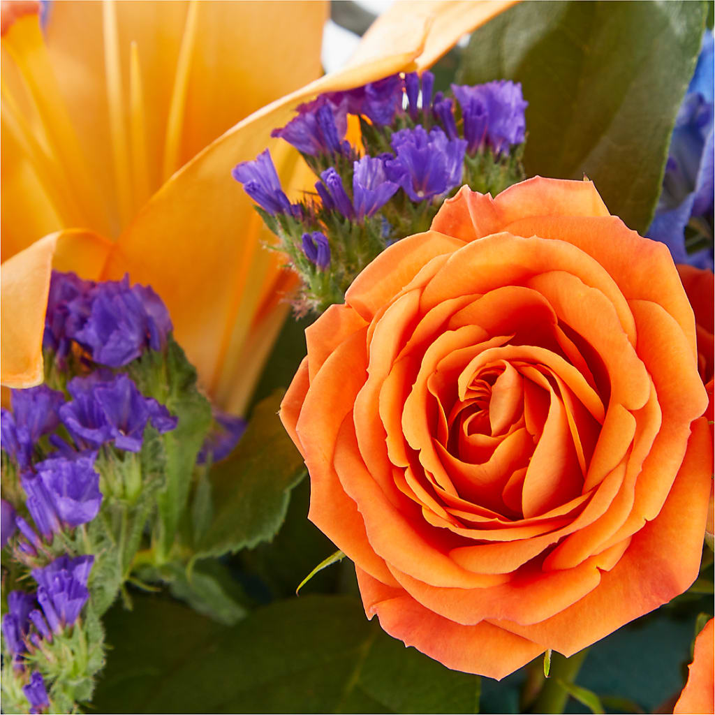 Radiant Citrus Box Bouquet – VINE & IVY FLOWERS, Suffield CT