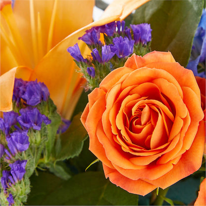 Radiant Citrus Box Bouquet – VINE & IVY FLOWERS, Suffield CT
