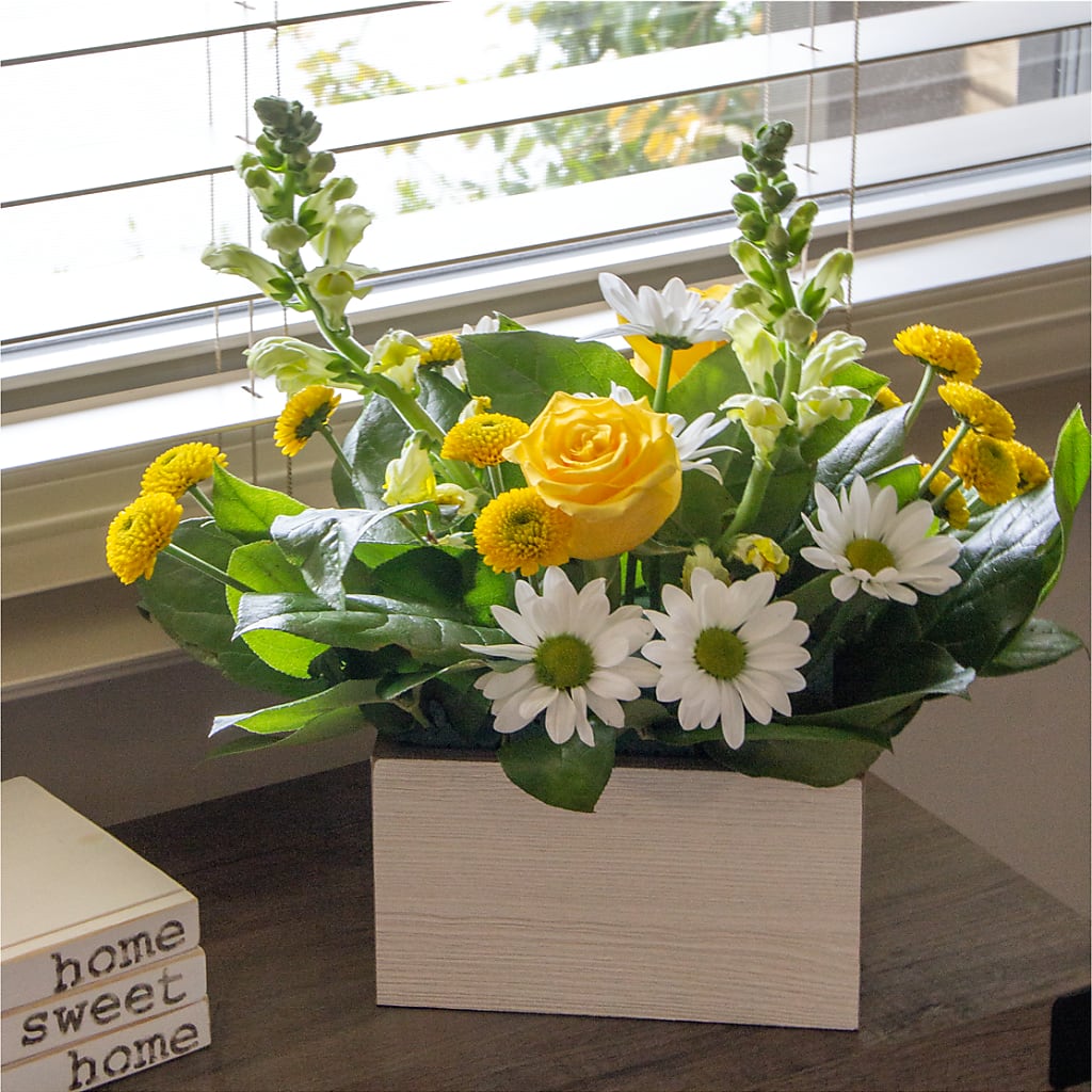 Sun Salutation Box Bouquet – VINE & IVY FLOWERS, Suffield CT