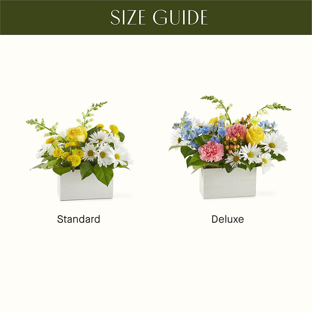 Sun Salutation Box Bouquet – VINE & IVY FLOWERS, Suffield CT