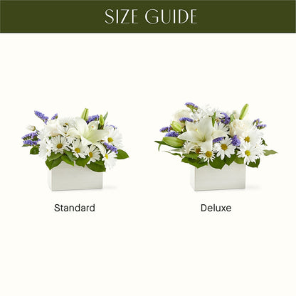 Beyond Blue Box Bouquet – VINE & IVY FLOWERS, Suffield CT