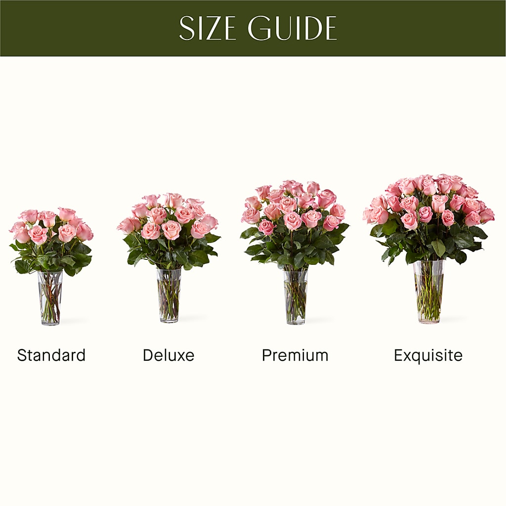 Long Stem Pink Rose Bouquet – VINE & IVY FLOWERS, Suffield CT