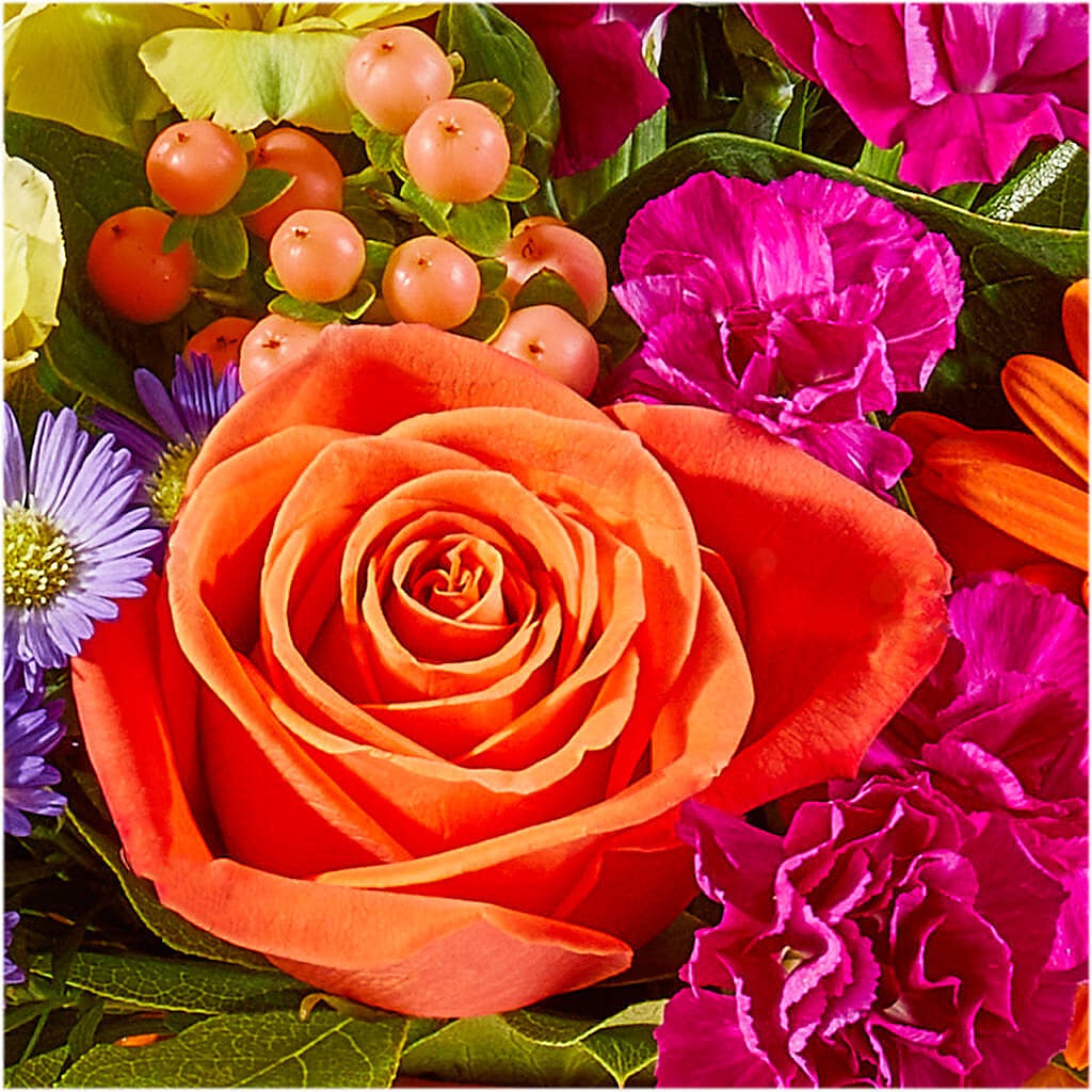 Tricks & Treats Pumpkin – VINE & IVY FLOWERS, Suffield CT
