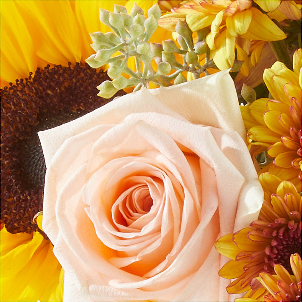 Pumpkin to Talk About Bouquet – VINE & IVY FLOWERS, Suffield CT