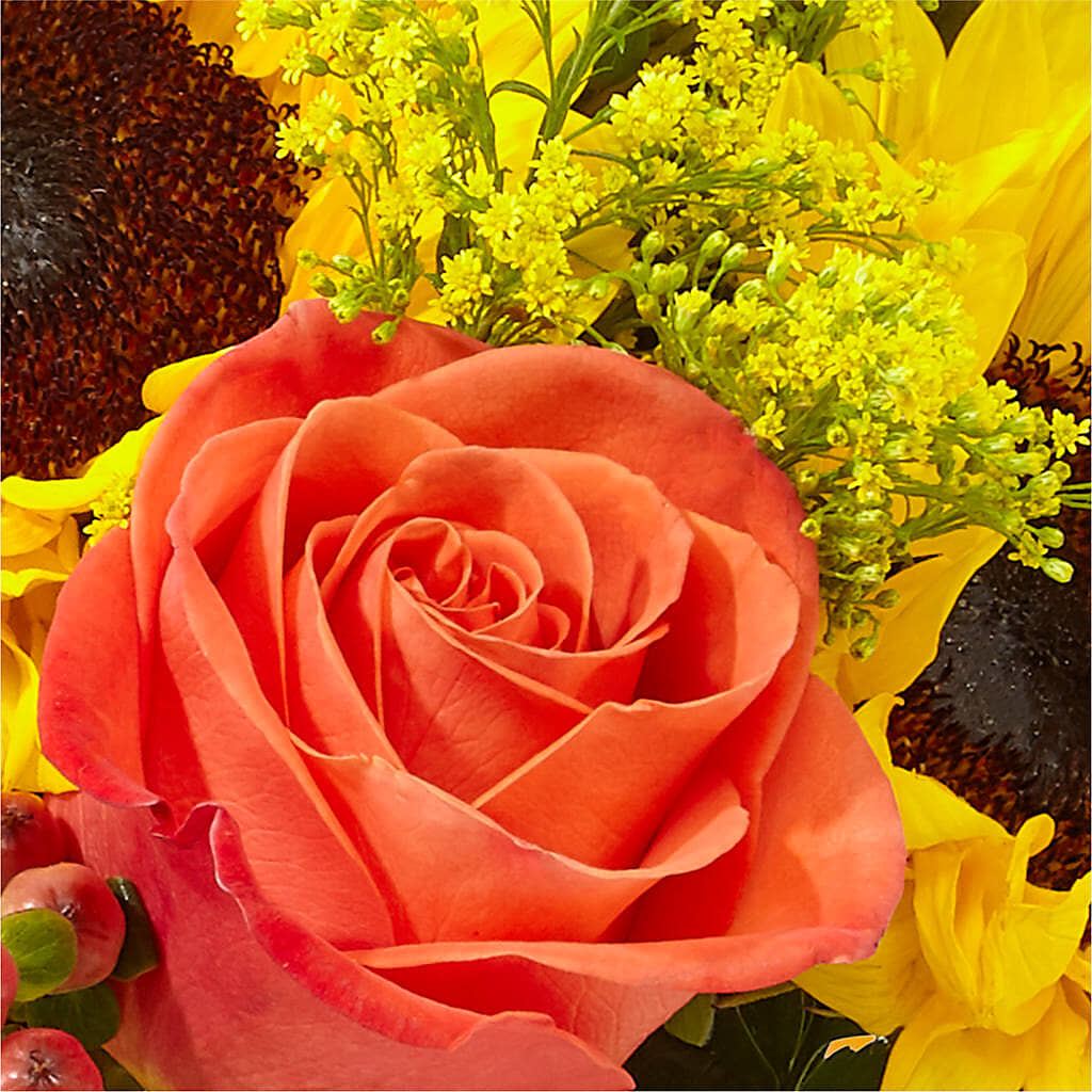 Pick of the Patch Pumpkin Bouquet – VINE & IVY FLOWERS, Suffield CT