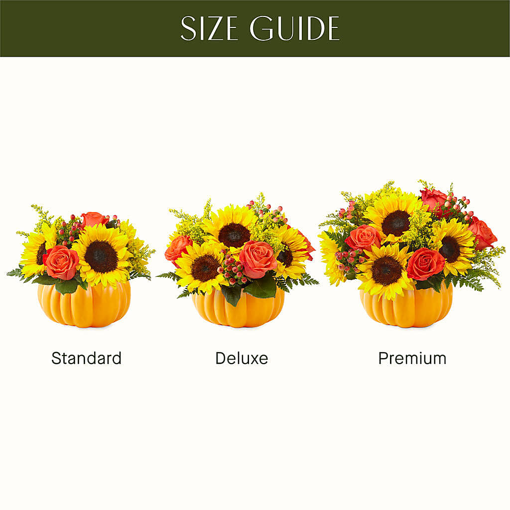 Pick of the Patch Pumpkin Bouquet – VINE & IVY FLOWERS, Suffield CT