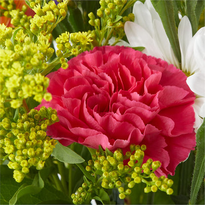 Oopsie Daisy Bouquet – VINE & IVY FLOWERS, Suffield CT