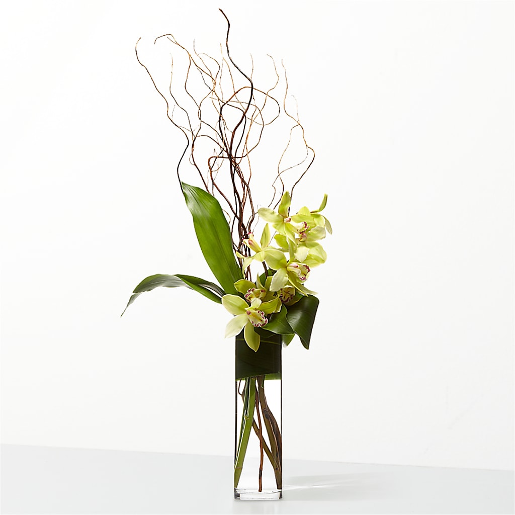 The Statement – VINE & IVY FLOWERS, Suffield CT