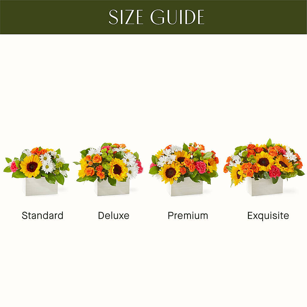 Sun-drenched Blooms Box Bouquet – VINE & IVY FLOWERS, Suffield CT