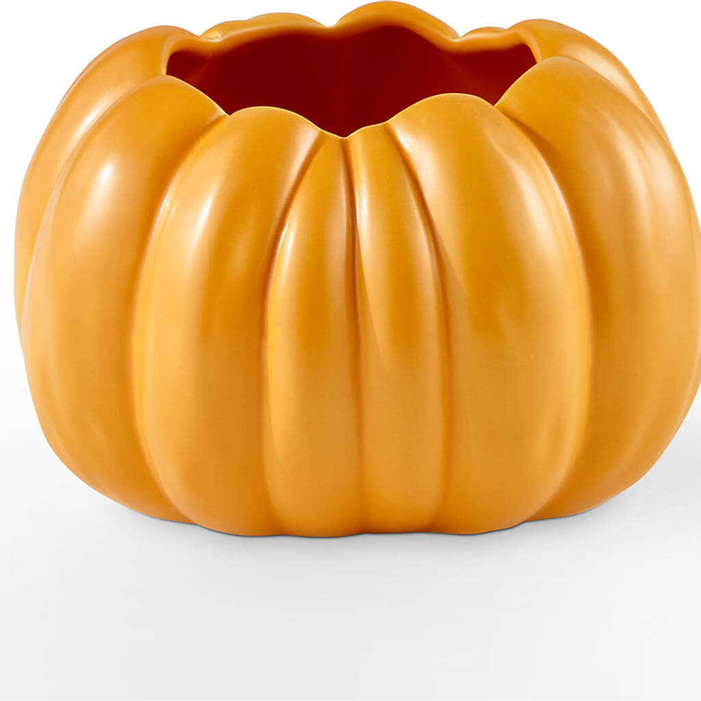 Pick of the Patch Pumpkin Bouquet – VINE & IVY FLOWERS, Suffield CT