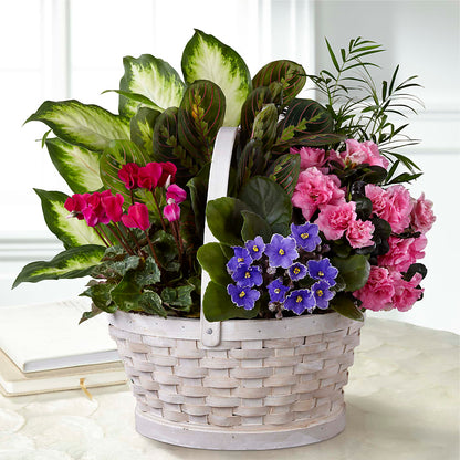 Peaceful Garden Planter – VINE & IVY FLOWERS, Suffield CT