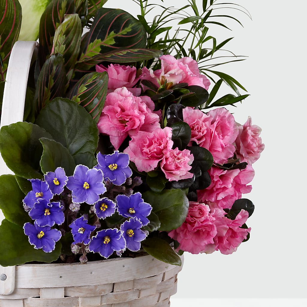 Peaceful Garden Planter – VINE & IVY FLOWERS, Suffield CT