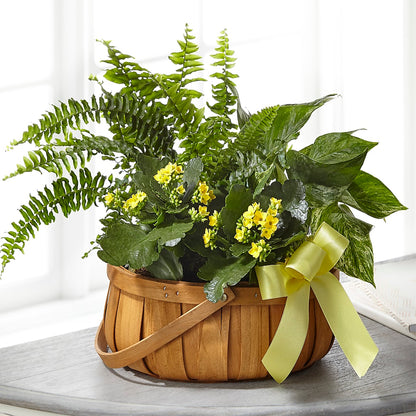 Always Dear Dishgarden – VINE & IVY FLOWERS, Suffield CT