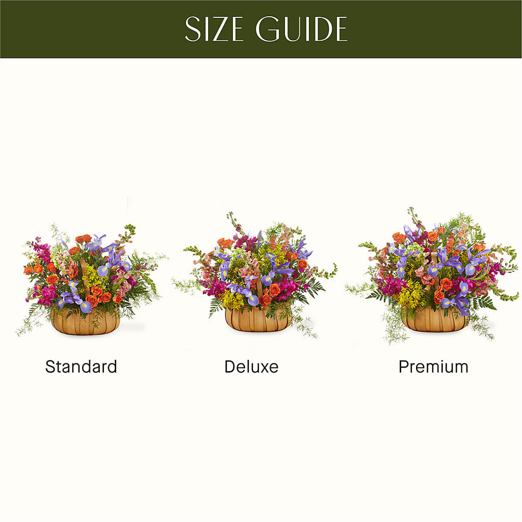 Garden of Life Basket – VINE & IVY FLOWERS, Suffield CT