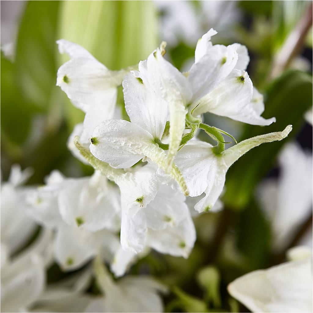 Classic Ivory – A Florist Original – VINE & IVY FLOWERS, Suffield CT