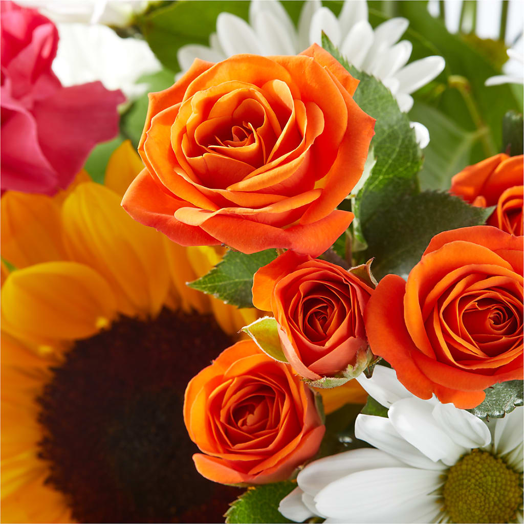 Sun-drenched Blooms Bouquet – VINE & IVY FLOWERS, Suffield CT