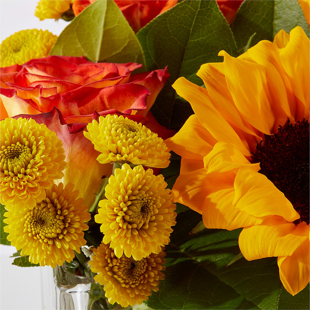Picnic in the Park Bouquet – VINE & IVY FLOWERS, Suffield CT