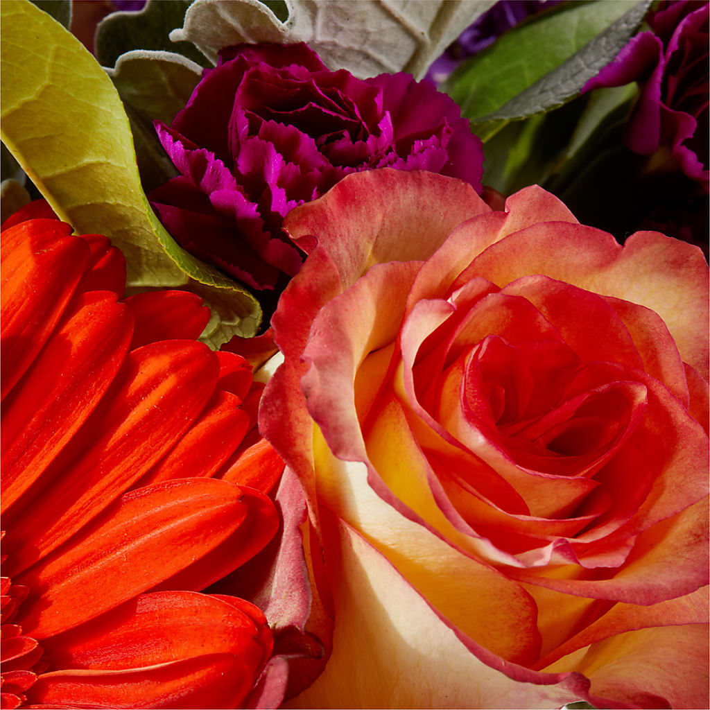 Sangria Bouquet – VINE & IVY FLOWERS, Suffield CT