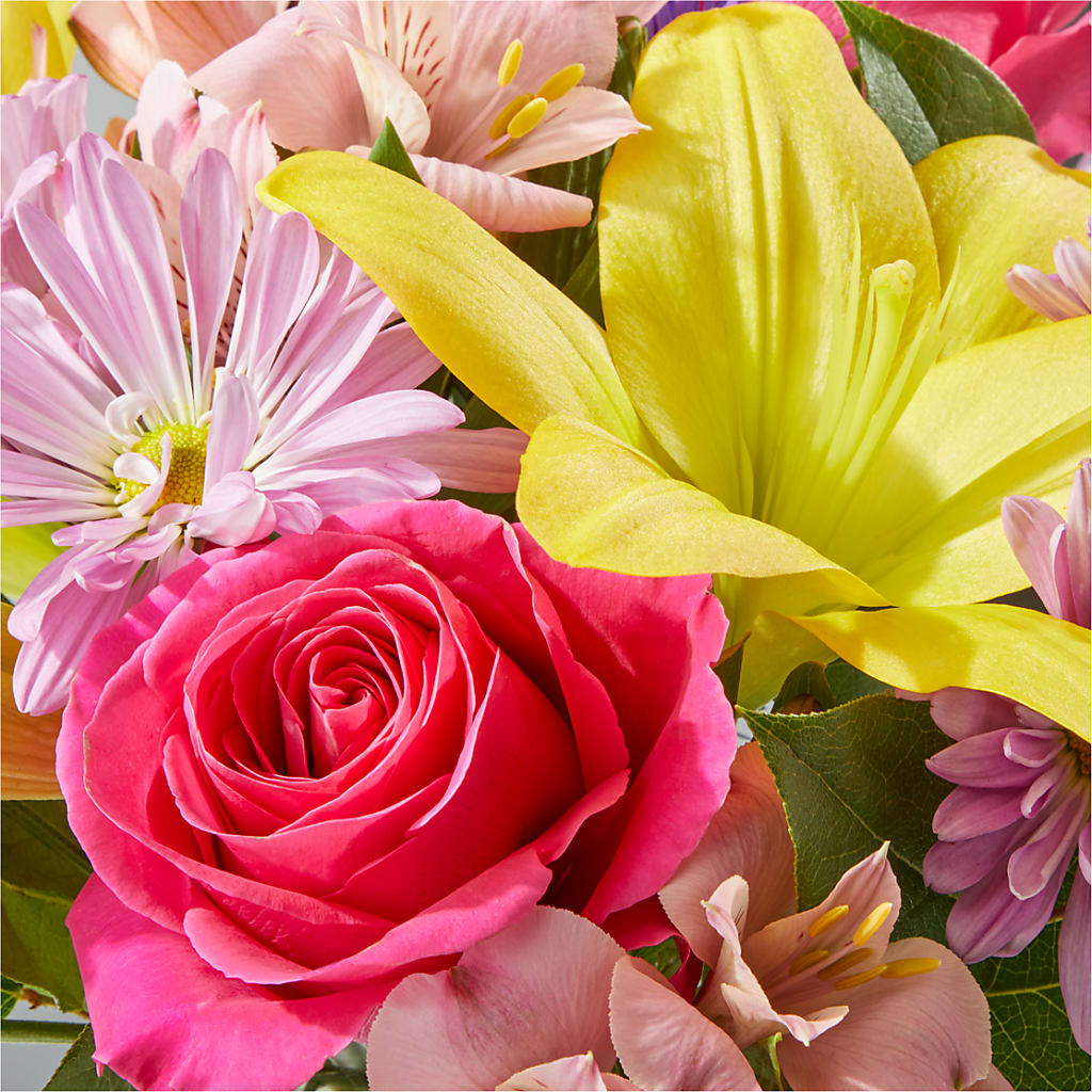 Sprinkles Bouquet – VINE & IVY FLOWERS, Suffield CT