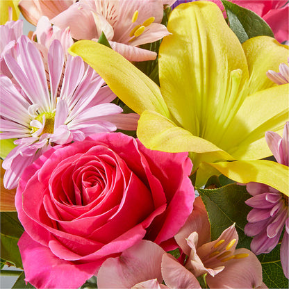 Sprinkles Bouquet – VINE & IVY FLOWERS, Suffield CT