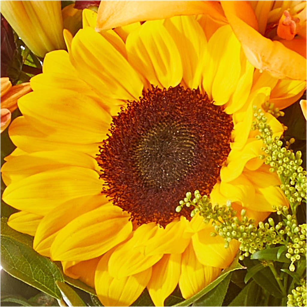 Seasons Change Bouquet – VINE & IVY FLOWERS, Suffield CT