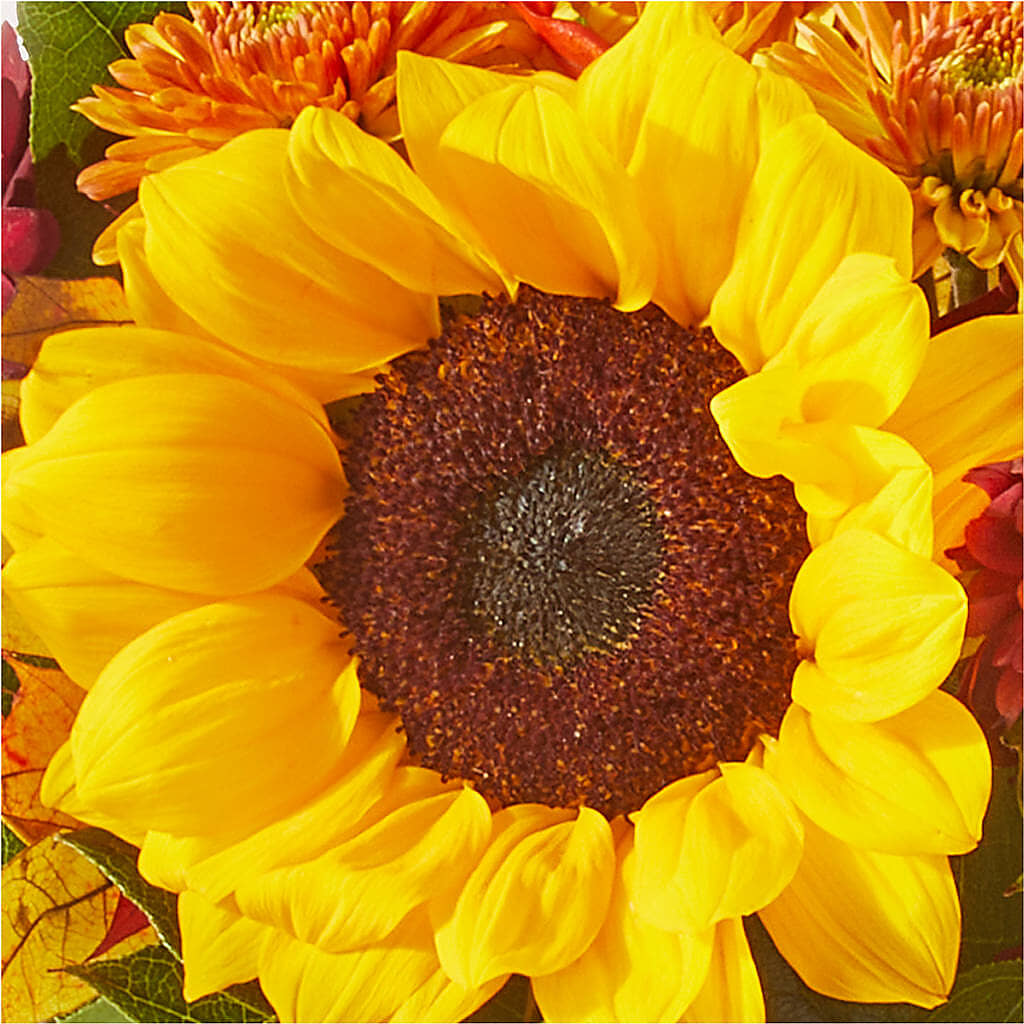 Sunny Side Bouquet – VINE & IVY FLOWERS, Suffield CT